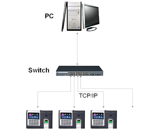 Latest Feature Product